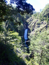 National Park Los Alerces